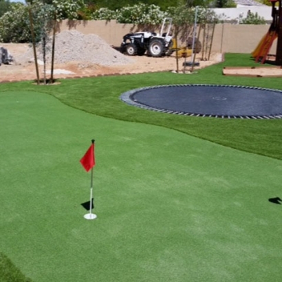 Artificial Lawn Lakeview, California Artificial Putting Greens, Backyards