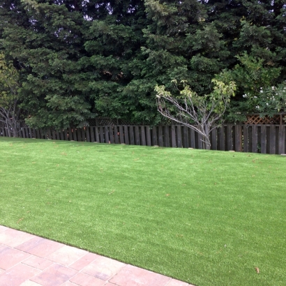 Artificial Lawn Mountain Center, California Landscape Photos, Beautiful Backyards