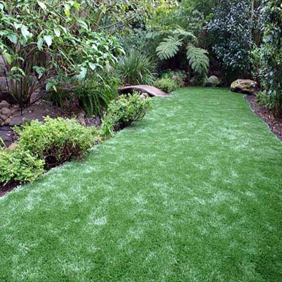Artificial Turf Alpine Village, California Garden Ideas, Backyard Landscaping