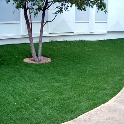 Artificial Turf Cost Desert Hot Springs, California Landscape Photos, Commercial Landscape