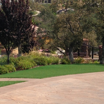 Artificial Turf Cost Menifee, California Landscape Ideas, Backyard Garden Ideas