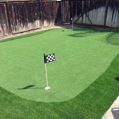 Artificial Turf Cost Ripley, California Indoor Putting Green, Backyard Makeover