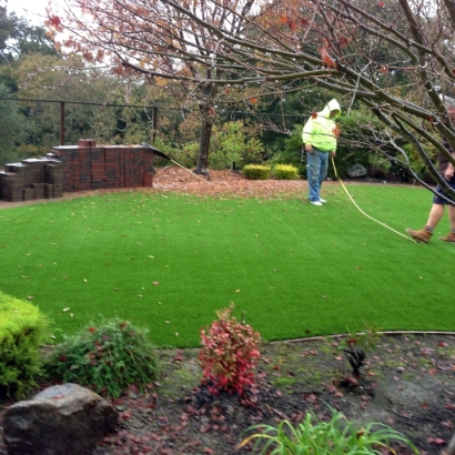 Artificial Turf El Cerrito, California City Landscape, Backyard Garden Ideas