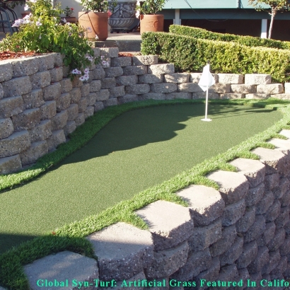 Artificial Turf Installation Desert Hot Springs, California Rooftop, Backyard Landscaping