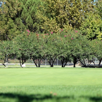 Artificial Turf Installation Good Hope, California Golf Green