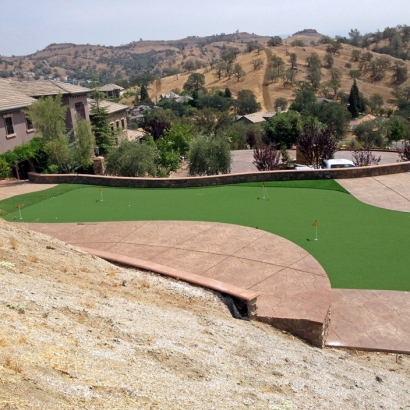 Artificial Turf La Quinta, California Putting Green Turf, Backyards