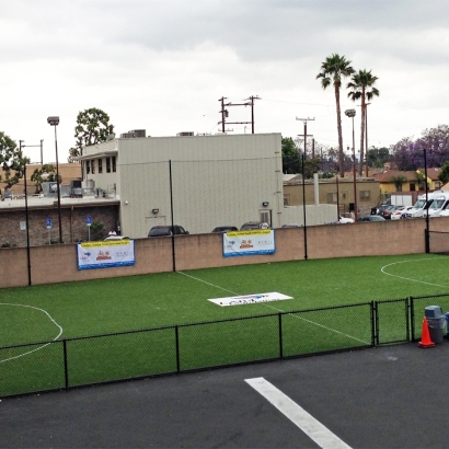 Artificial Turf Mira Loma, California Sports Athority, Commercial Landscape