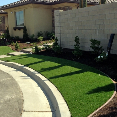 Artificial Turf Sky Valley, California Lawn And Landscape, Front Yard Landscape Ideas