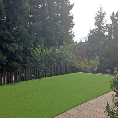 Best Artificial Grass Cathedral City, California Lawn And Landscape, Backyard Design