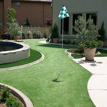 Best Artificial Grass Cathedral City, California Landscape Design, Backyard Landscape Ideas