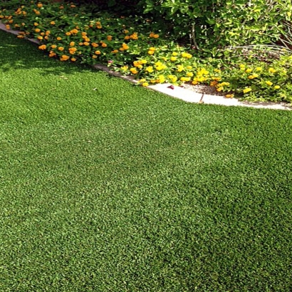 Best Artificial Grass Green Acres, California City Landscape, Landscaping Ideas For Front Yard