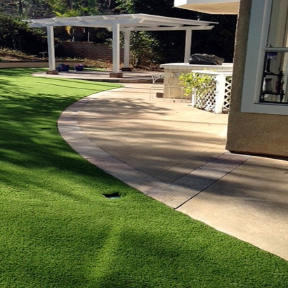 Best Artificial Grass Indian Wells, California Gardeners, Front Yard Ideas