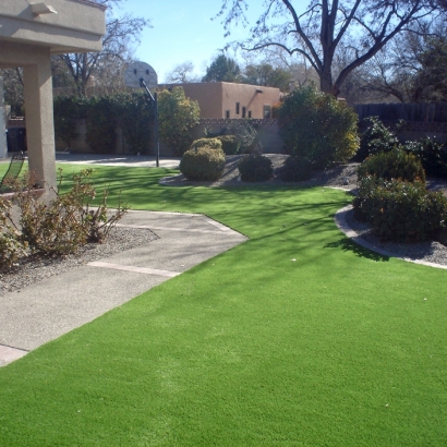 Best Artificial Grass Lake Elsinore, California Landscape Ideas, Landscaping Ideas For Front Yard