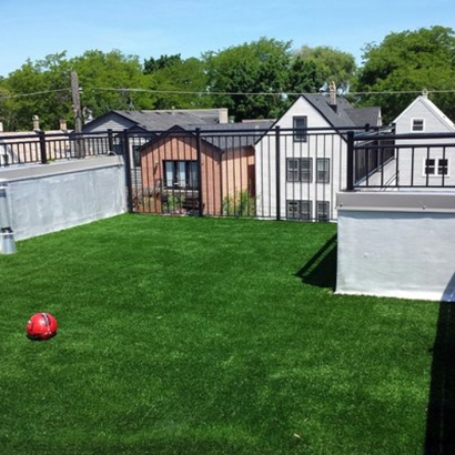 Best Artificial Grass Wildomar, California Dog Run, Deck