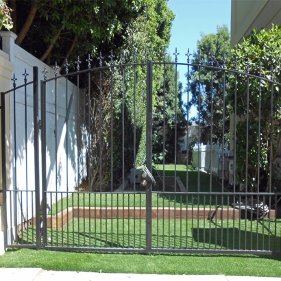Fake Grass Aguanga, California Landscaping Business, Small Front Yard Landscaping
