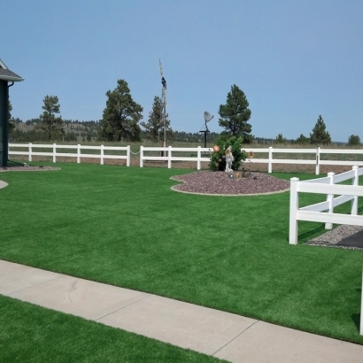 Fake Grass Bermuda Dunes, California Backyard Playground, Backyard Landscape Ideas