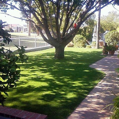 Fake Grass Carpet Alpine Village, California Landscape Ideas