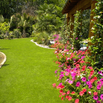 Fake Grass Carpet Coachella, California Landscape Design, Backyard Landscape Ideas
