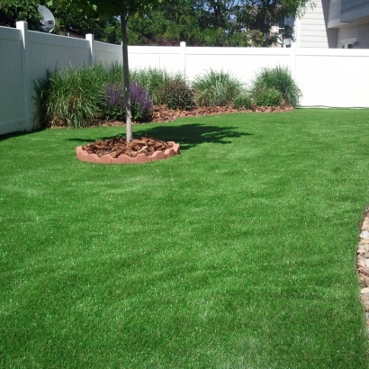 Fake Grass Carpet Nuevo, California Landscape Rock, Backyard Design