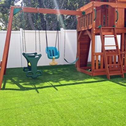Fake Grass Carpet Winchester, California City Landscape, Backyard Landscape Ideas