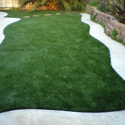 Fake Grass Indio Hills, California Rooftop, Small Backyard Ideas