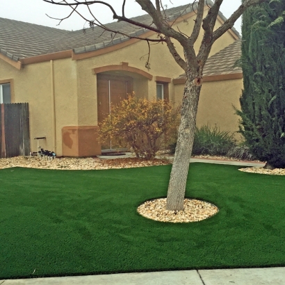 Fake Grass Mead Valley, California Roof Top, Small Front Yard Landscaping