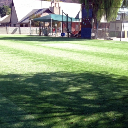 Fake Grass Valle Vista, California Home And Garden, Parks