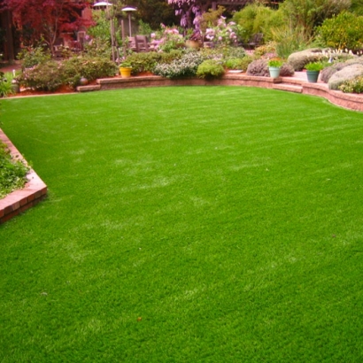 Fake Lawn Anza, California Landscaping, Backyard Design