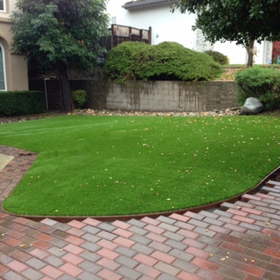 Fake Lawn Banning, California Gardeners, Front Yard