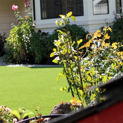 Fake Lawn Desert Center, California Garden Ideas, Front Yard Landscape Ideas