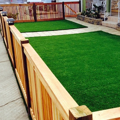 Fake Lawn Idyllwild-Pine Cove, California City Landscape, Front Yard Landscape Ideas