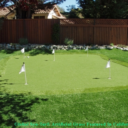 Fake Lawn Idyllwild-Pine Cove, California Landscape Design, Small Backyard Ideas