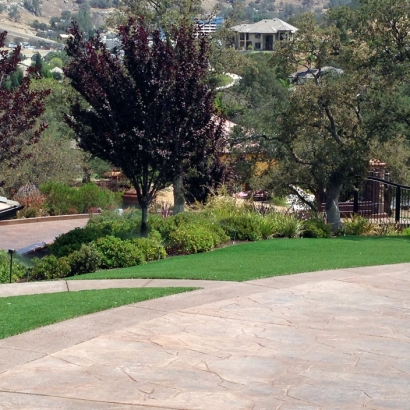 Fake Lawn Indio, California Backyard Deck Ideas, Front Yard Design