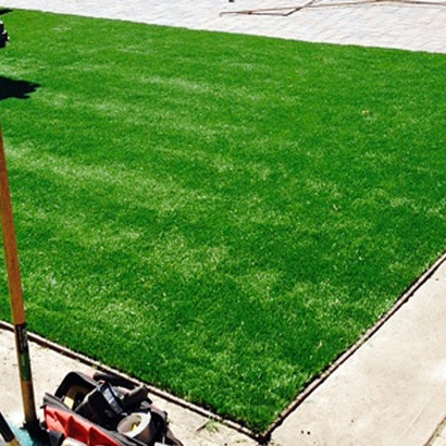 Fake Lawn Mesa Verde, California Landscape Ideas