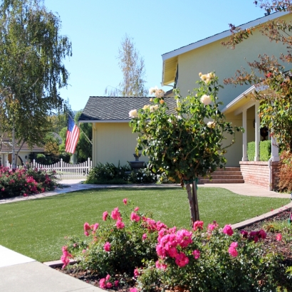 Fake Lawn Norco, California Home And Garden, Front Yard Landscape Ideas