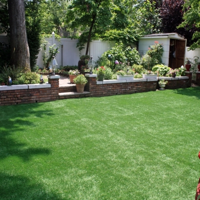 Fake Lawn Nuevo, California Gardeners, Backyard Landscaping Ideas