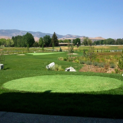 Fake Turf Blythe, California Putting Green Carpet, Backyard Designs