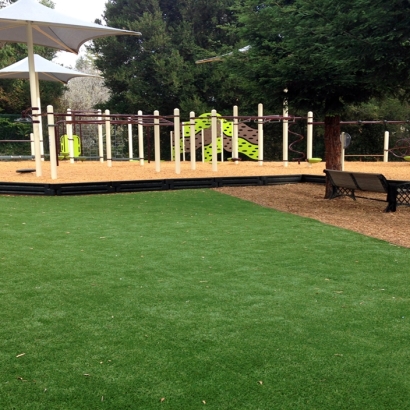 Fake Turf Corona, California Playground, Backyard Design