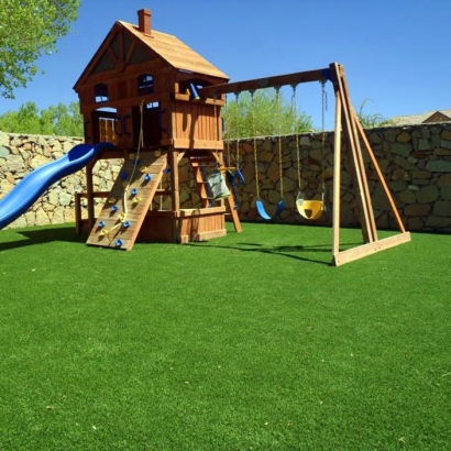 Fake Turf Indio Hills, California Kids Indoor Playground, Backyard Garden Ideas