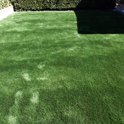 Faux Grass Blythe, California Dog Running, Backyard Designs