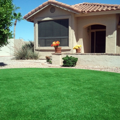 Faux Grass Idyllwild-Pine Cove, California Lawns, Front Yard Ideas