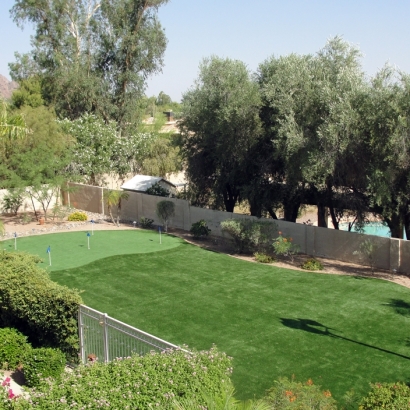 Faux Grass Norco, California Outdoor Putting Green, Small Backyard Ideas