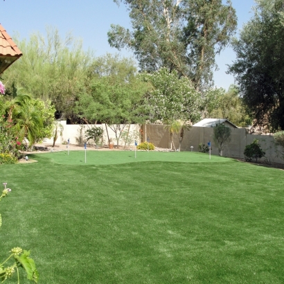 Faux Grass Norco, California Outdoor Putting Green, Small Backyard Ideas