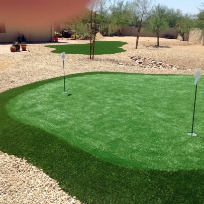 Faux Grass Thousand Palms, California Diy Putting Green, Backyard Design