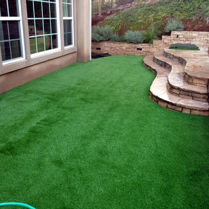 Grass Carpet Banning, California Landscape Ideas, Small Backyard Ideas