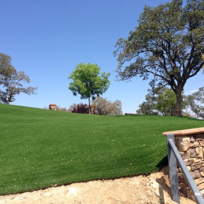 Grass Carpet Coachella, California Landscape Photos, Small Front Yard Landscaping
