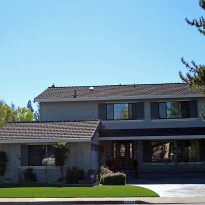 Grass Carpet Hemet, California Lawn And Garden, Front Yard Ideas