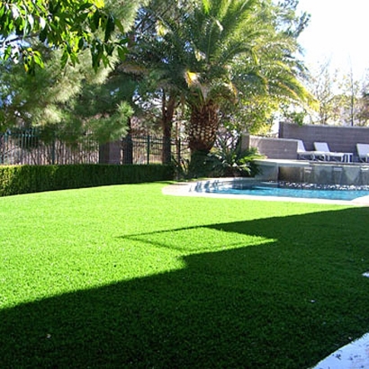 Grass Carpet Lakeland Village, California Lawns, Above Ground Swimming Pool