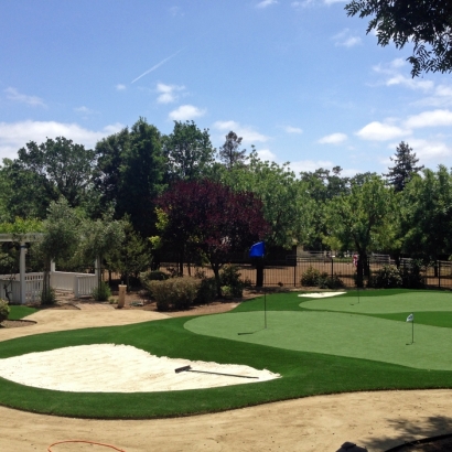 Grass Carpet Lakeland Village, California Backyard Putting Green, Front Yard Ideas