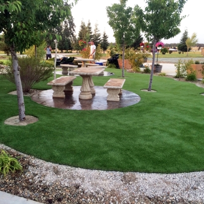 Grass Carpet Palm Desert, California Home And Garden, Commercial Landscape